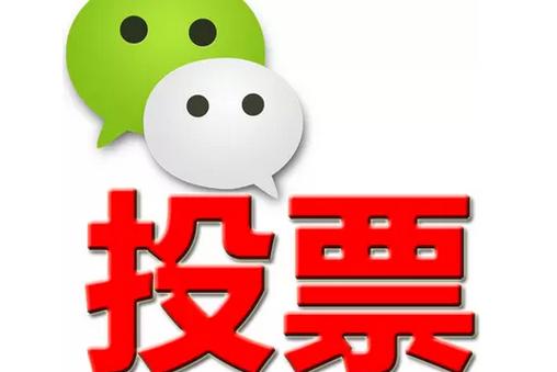 丽江市微信投票功能开发 上传图片投票